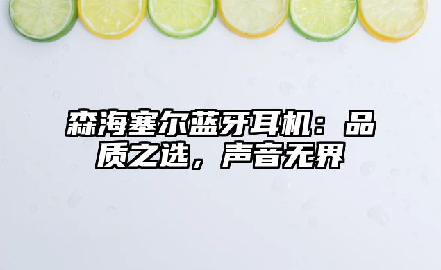 森海塞爾藍(lán)牙耳機(jī)：品質(zhì)之選，聲音無界