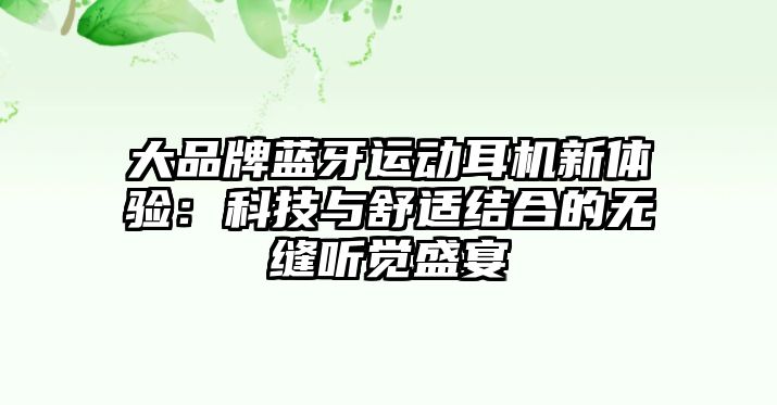 大品牌藍牙運動耳機新體驗：科技與舒適結(jié)合的無縫聽覺盛宴