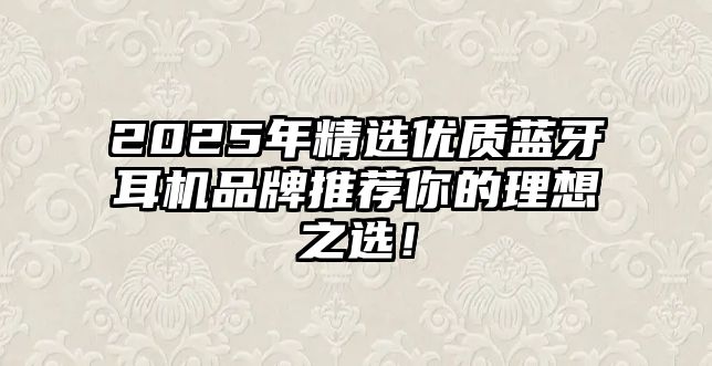 2025年精選優(yōu)質(zhì)藍(lán)牙耳機品牌推薦你的理想之選！