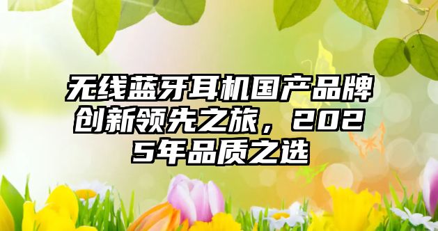 無(wú)線(xiàn)藍(lán)牙耳機(jī)國(guó)產(chǎn)品牌創(chuàng)新領(lǐng)先之旅，2025年品質(zhì)之選