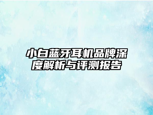小白藍(lán)牙耳機(jī)品牌深度解析與評(píng)測報(bào)告