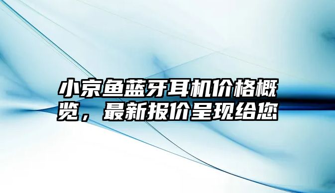 小京魚(yú)藍(lán)牙耳機(jī)價(jià)格概覽，最新報(bào)價(jià)呈現(xiàn)給您